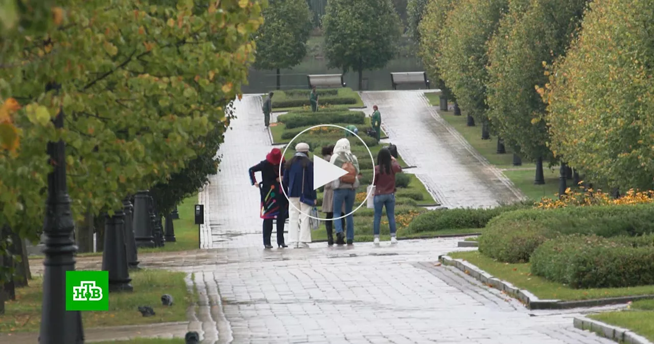 В Царицыне проходит финальный забег сезона «Культурный плоггинг»