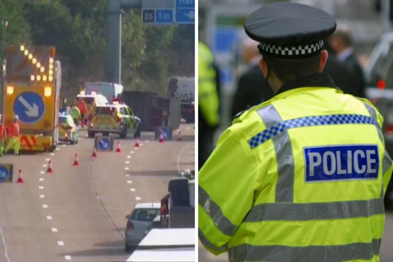 M25 crash between junctions 23 and 25 leaves two horses dead