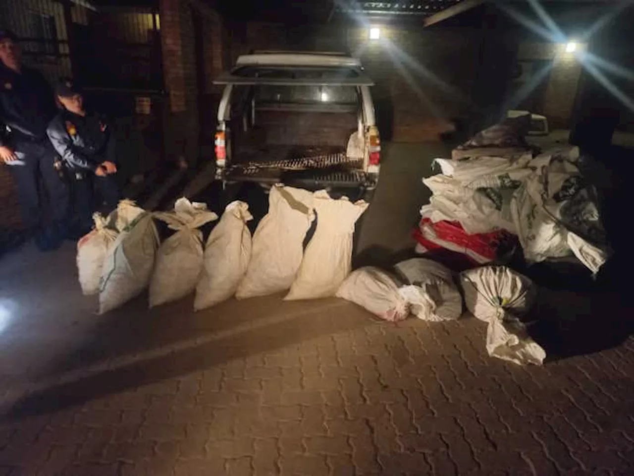 Two suspects arrested for possession of protected plants in Springbok