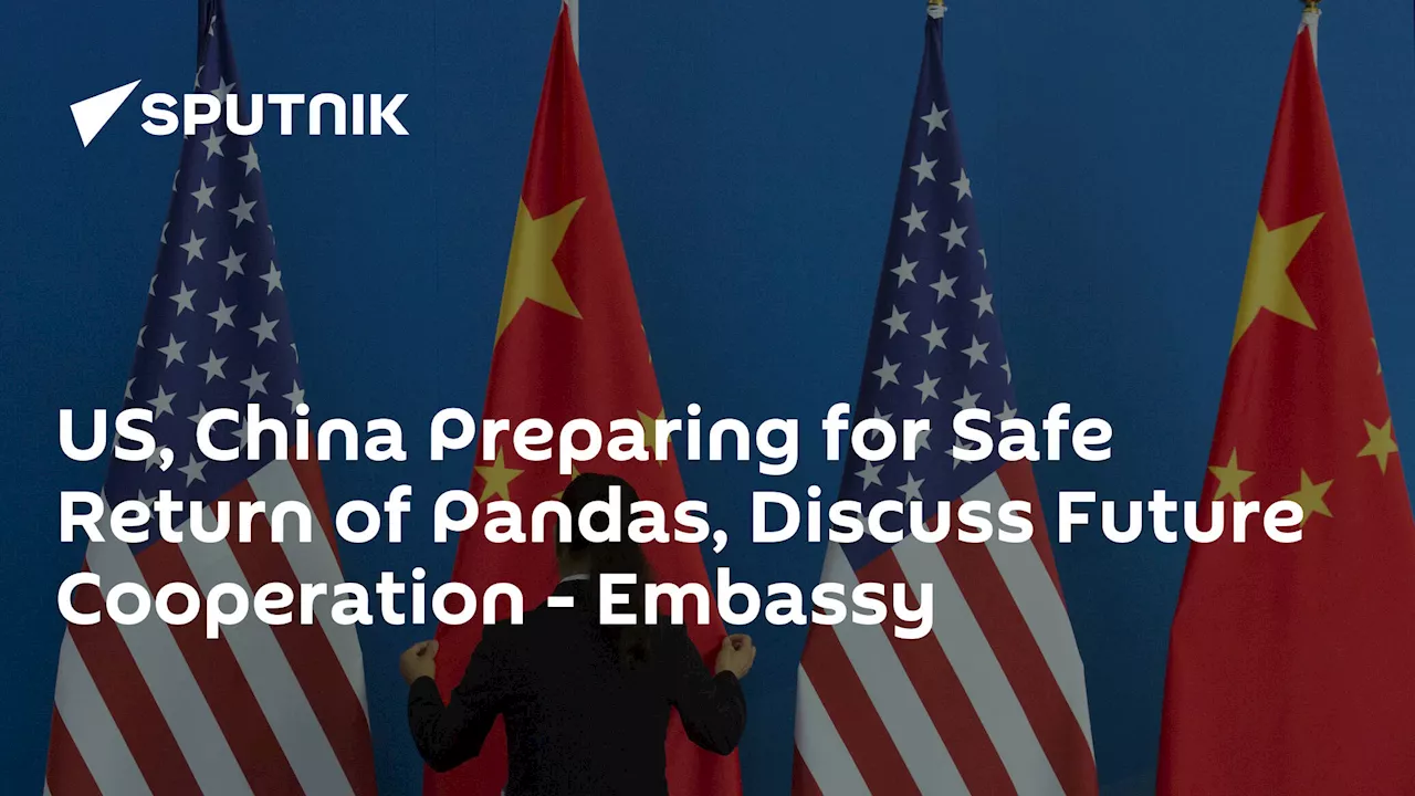 US, China Preparing for Safe Return of Pandas, Discuss Future Cooperation – Embassy