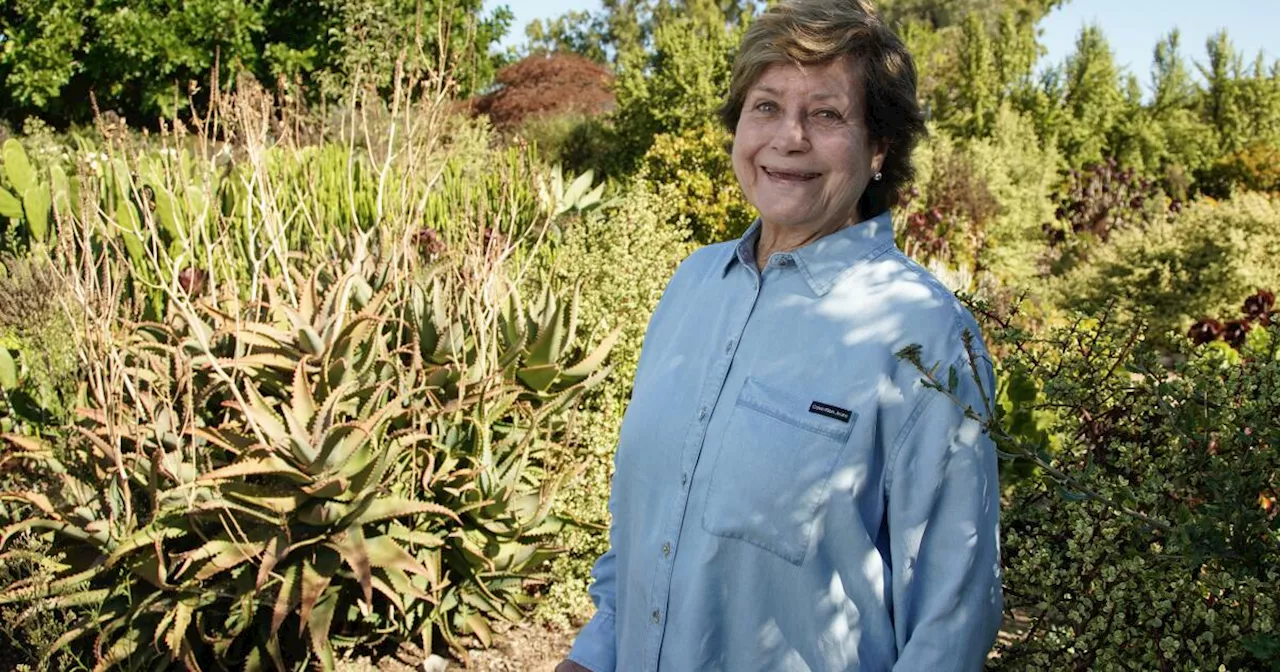 Formerly redlined neighborhoods work to cool temps and restore nature in Chollas Creek watershed