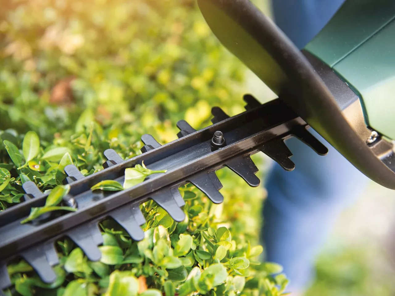 Gardener rescued after getting hand stuck in a hedge trimmer