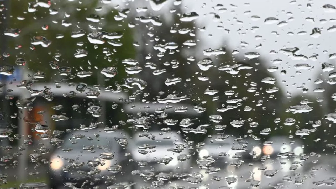 Wetter: Gelegentlicher Regen und Windböen in Sachsen-Anhalt erwartet