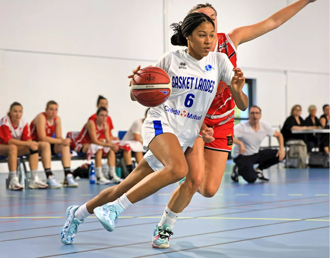 Basket-ball : « Sud Ouest » recherche un correspondant sportif à Mont-de-Marsan