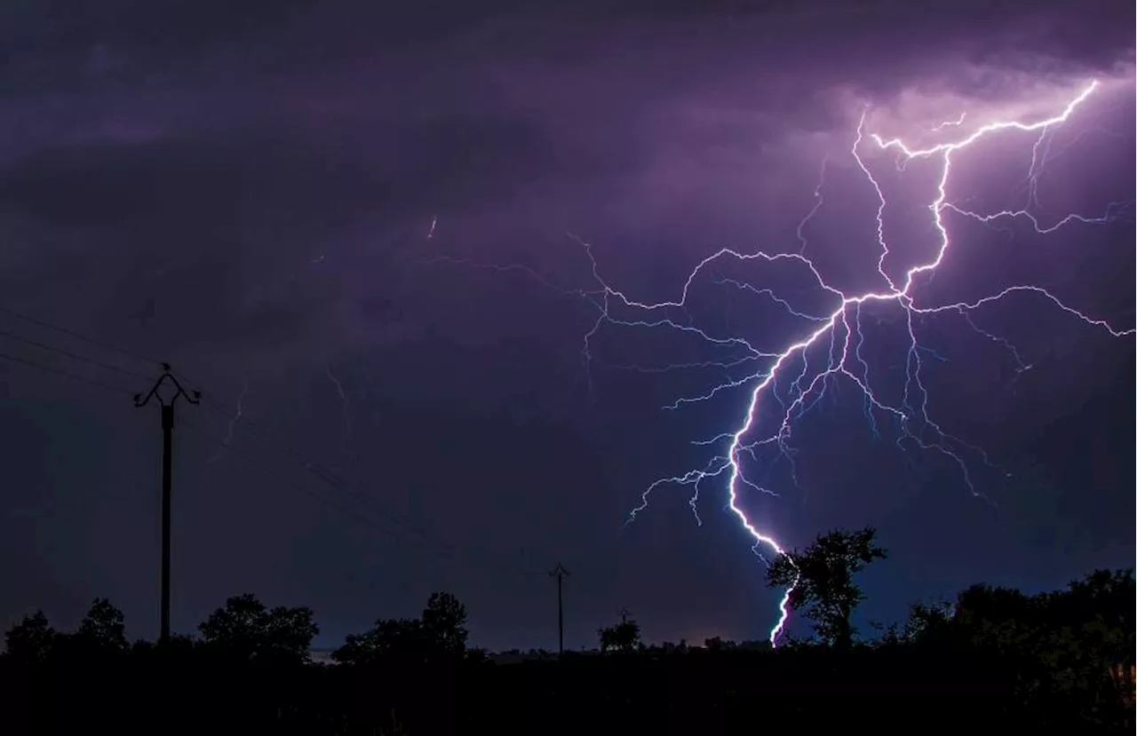 3 hurt after being hit by power line ‘snapped by lightning’