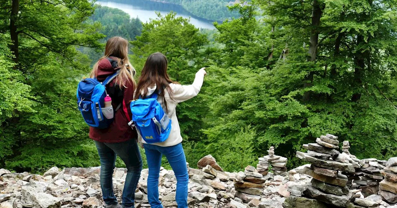 Forschung zu Nationalpark Hunsr\u00fcck: Was Besucher anzieht