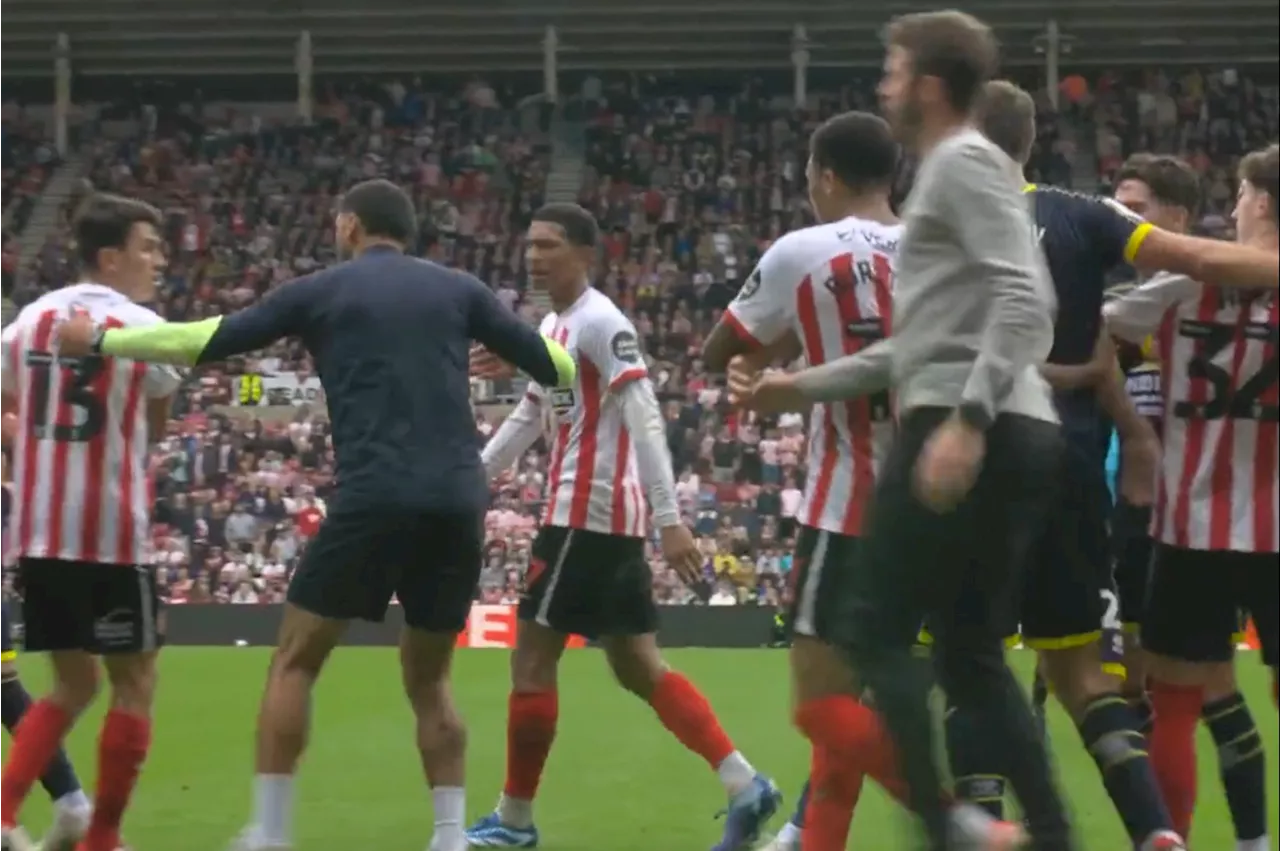 Michael Carrick bursts onto pitch to break up brawl between Middlesbrough and Sunderland players...