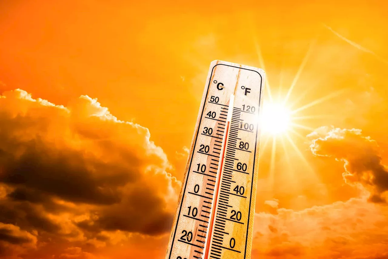 Heatwave: Weather service warns of persistently high temperatures