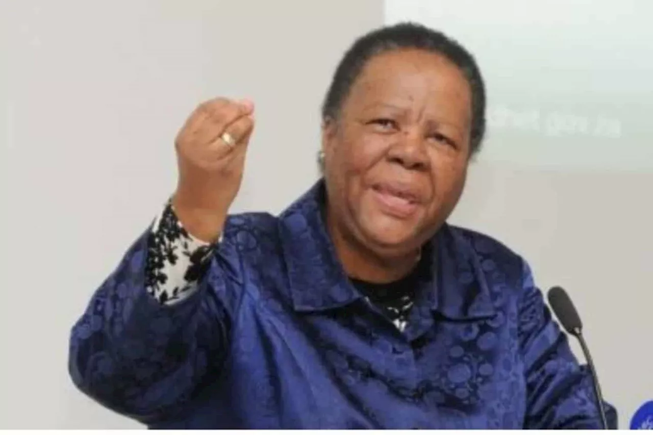 Pandor postpones trip to Palestine as conflict erupts between Israel and Palestinians