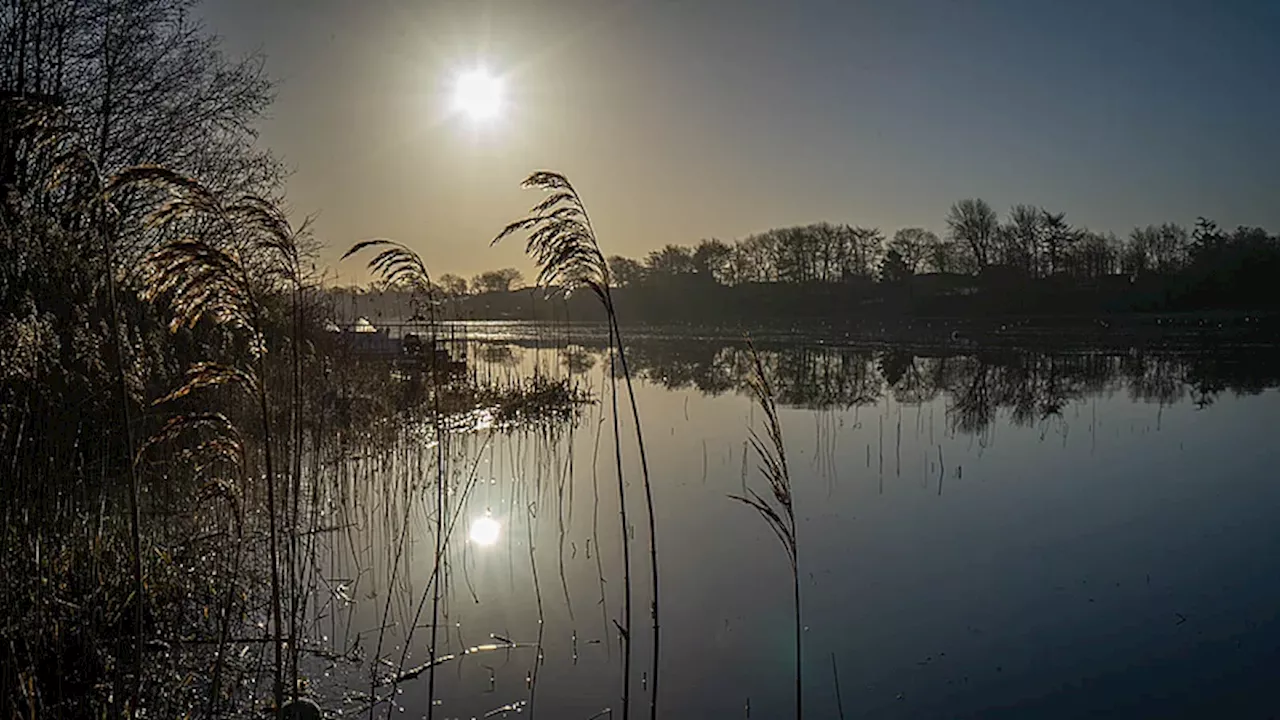 Efterårets første frost på vej | TV MIDTVEST