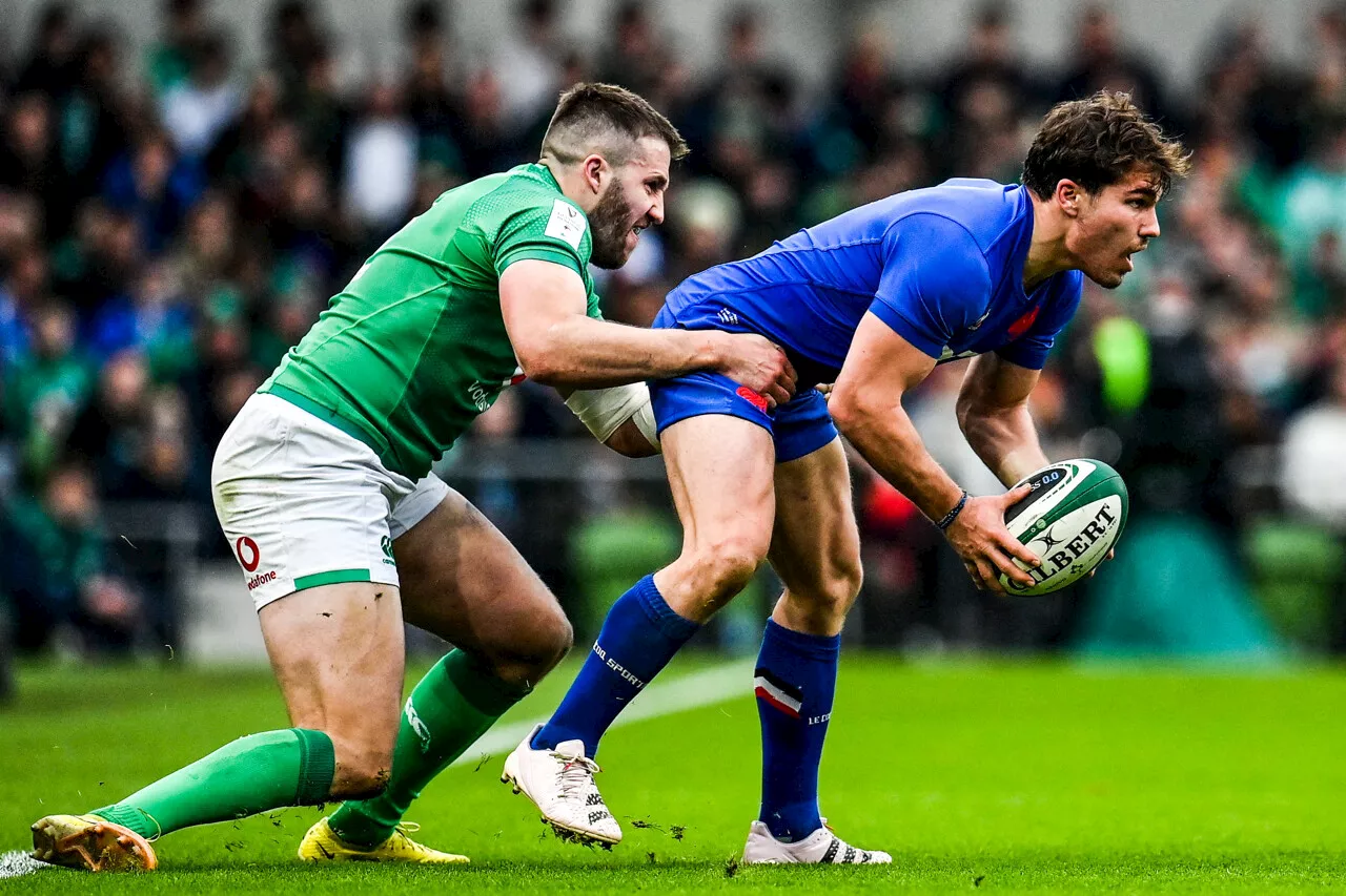 Coupe du monde de rugby 2023. Quand la France peut-elle croiser la route de l'Irlande ? | Actu Rugby