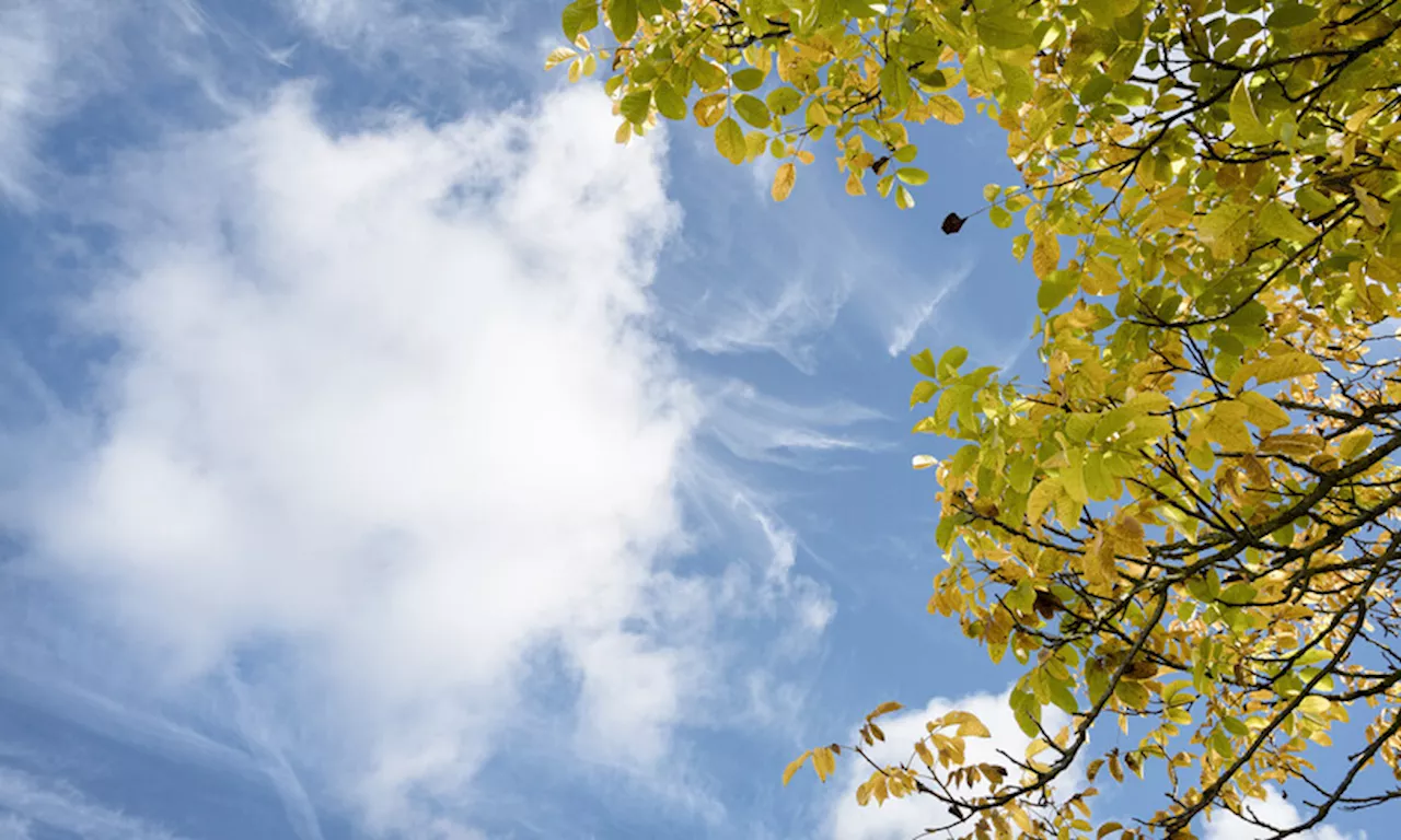 L'autunno tarda ancora: arriverà a metà ottobre