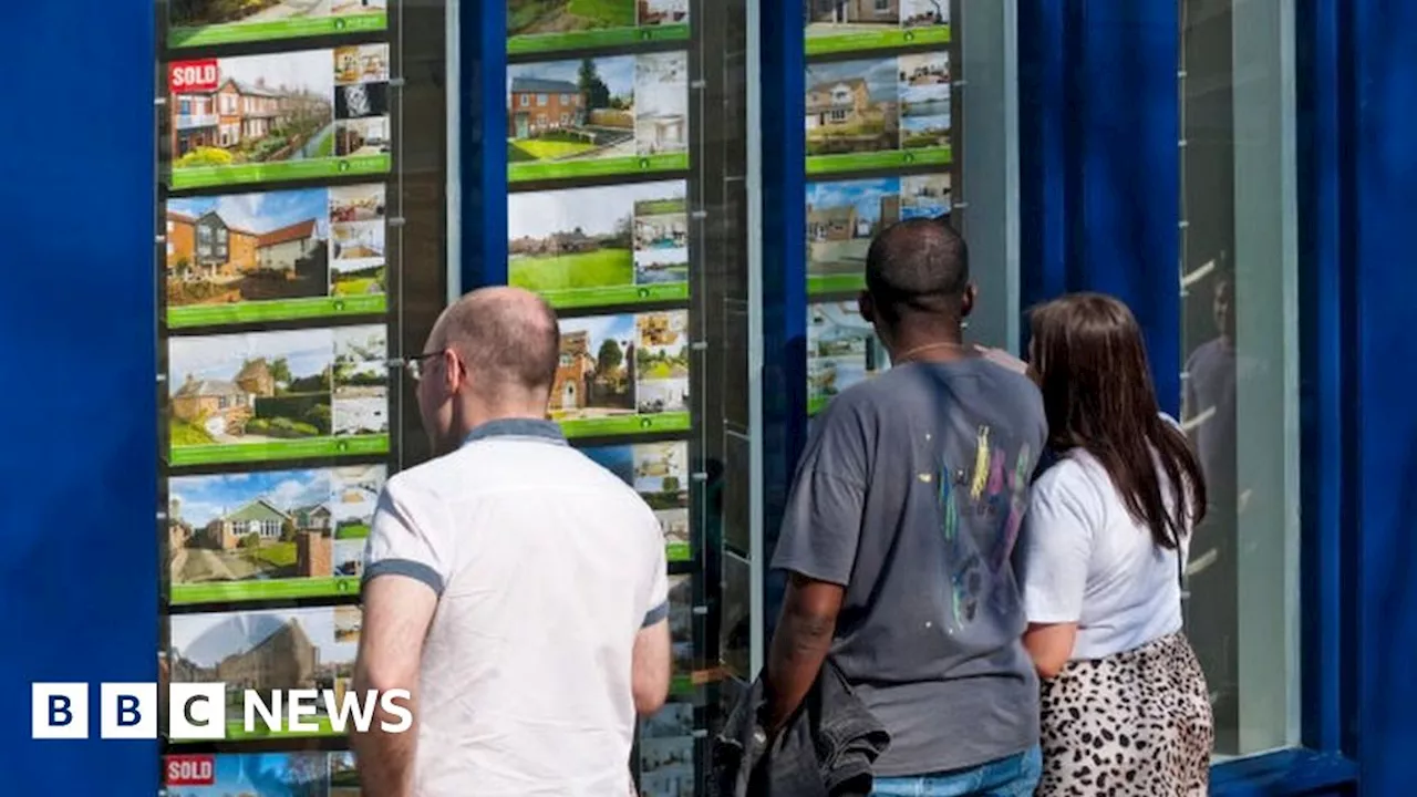 Rental housing market 'completely unsustainable', MSPs told