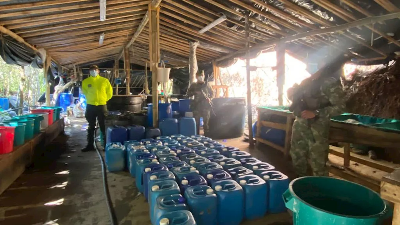 Ejército desmanteló un laboratorio para el procesamiento de coca en El Peñol, Antioquia