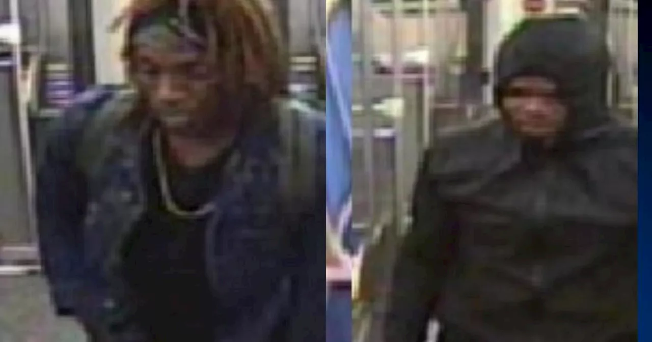 Mass Transit detectives seek to identify 2 men who robbed passenger on CTA Green Line