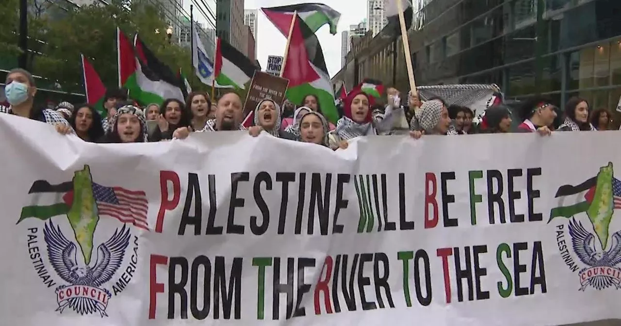 Palestinian supporters rally outside Israeli consulate in Chicago