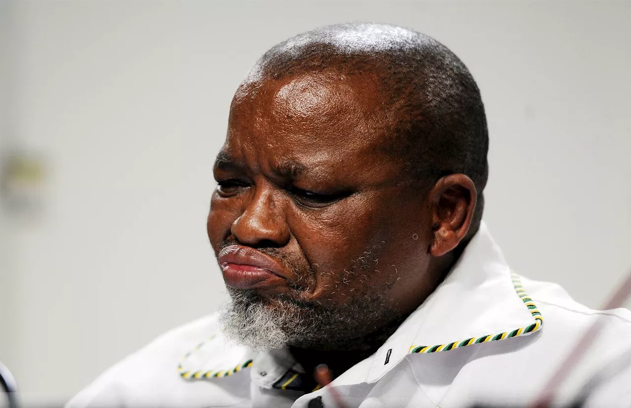 Mantashe questions where anti-oil and gas NGOs get funding