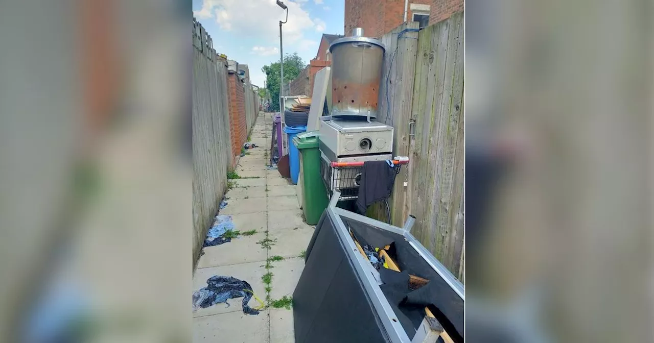 Mum's mission to make destitute alleyway into garden 'oasis'