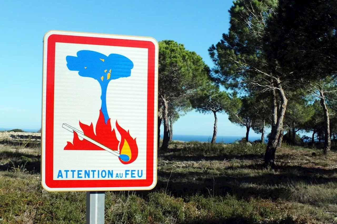 Fortes chaleurs et soleil : deux incendies dans les Landes et le Lot-et-Garonne