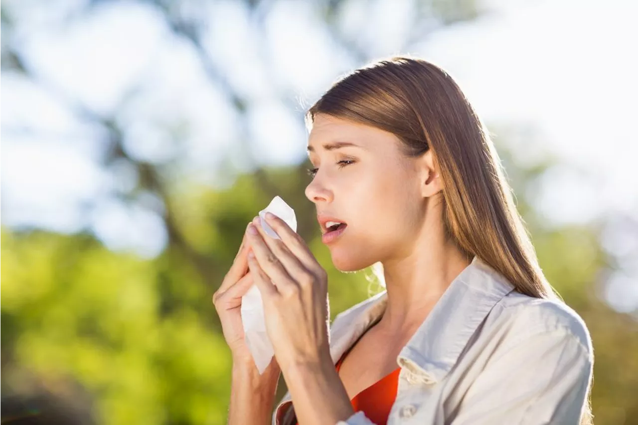 Met Éireann's pollen forecast this weekend is very grim for hay fever sufferers