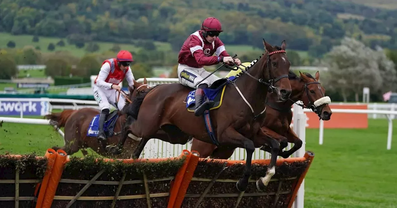 Tragedy as potential chasing star I Like To Move It suffers fatal injury