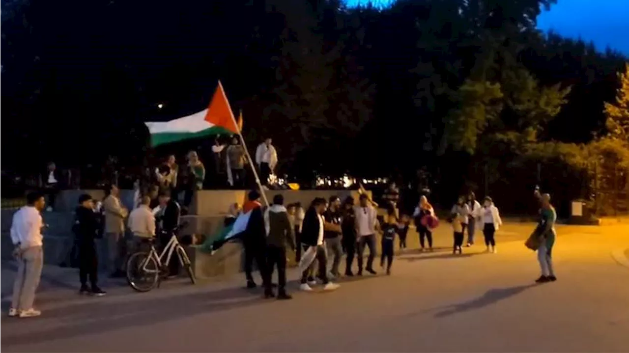 В Вене прошел митинг в поддержку палестинской группировки ХАМАС