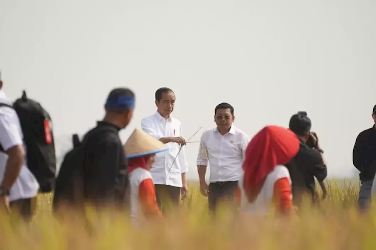 Tunjuk Arief Prasetyo Adi sebagai Plt Mentan, Jokowi: Memudahkan Konsolidasi Urusan Pangan - Jawa Pos