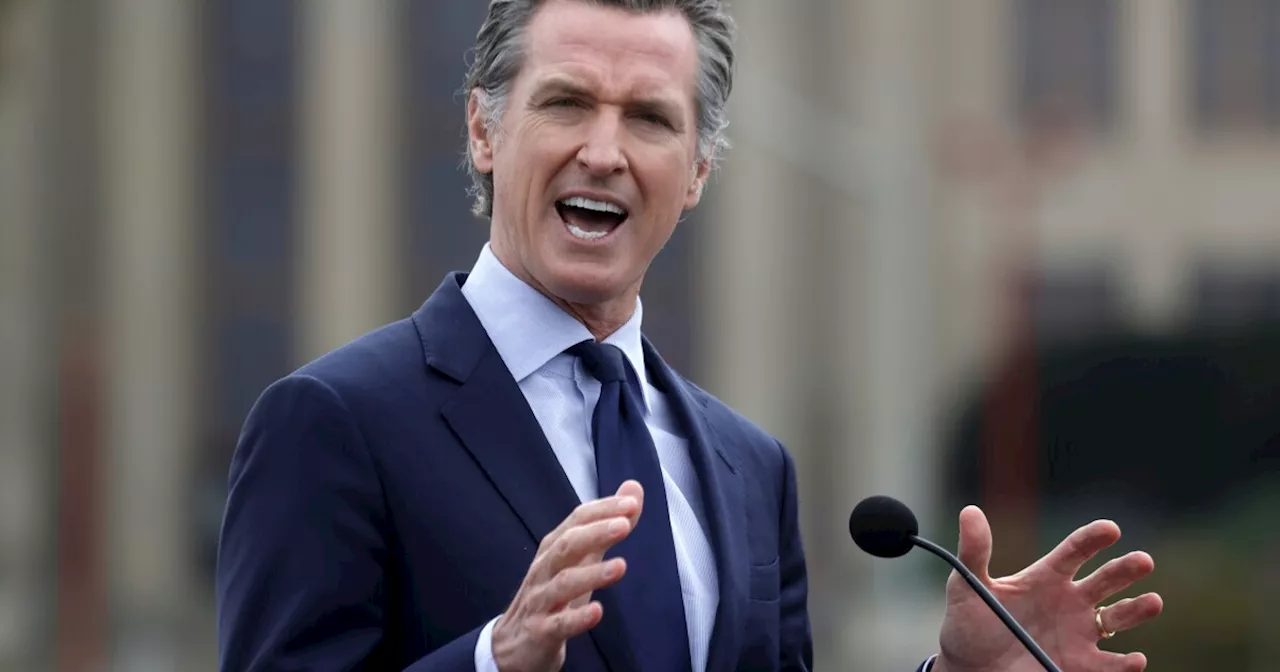 No 'Magic Mushrooms' for California, As Newsom Strikes Down Bill