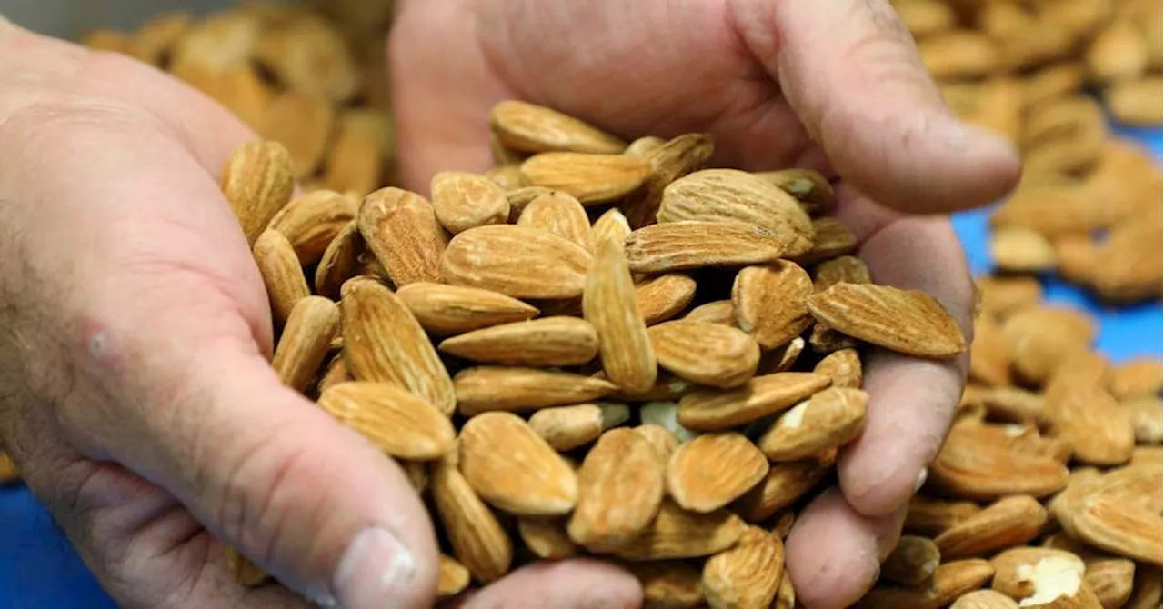 Alpes-de-Haute-Provence : pourquoi la production d'amandes provençales a du mal à décoller