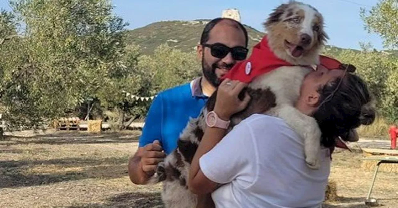 Lançon-Provence : des chiens qui font les beaux au milieu des vignes du Château Calissanne