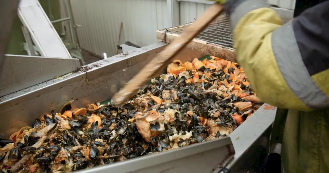 Les Alchimistes des Hauts-de-France, fidèles au compost