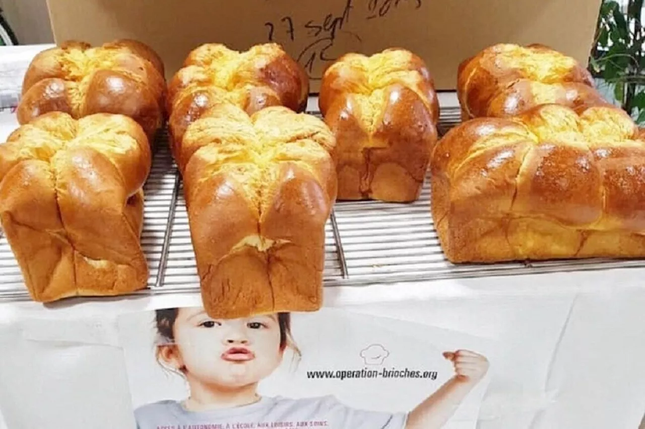 Une grande opération brioches cette semaine dans la métropole de Lille pour sensibiliser au handicap | Lille Actu