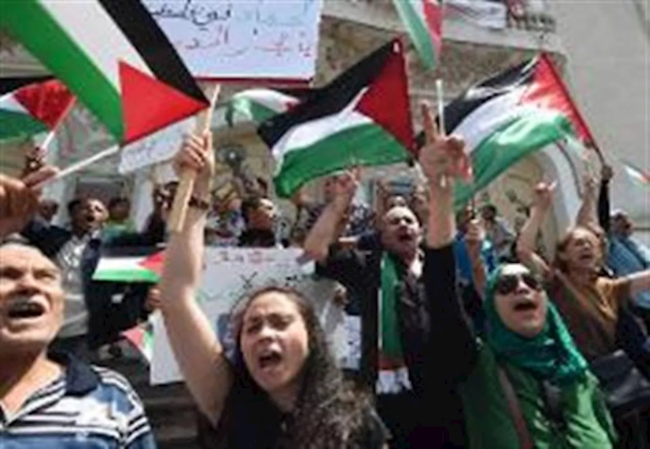 تونس تلغي الحفلات وترفع العلم الفلسطيني في المدارس تضامنا مع غزة