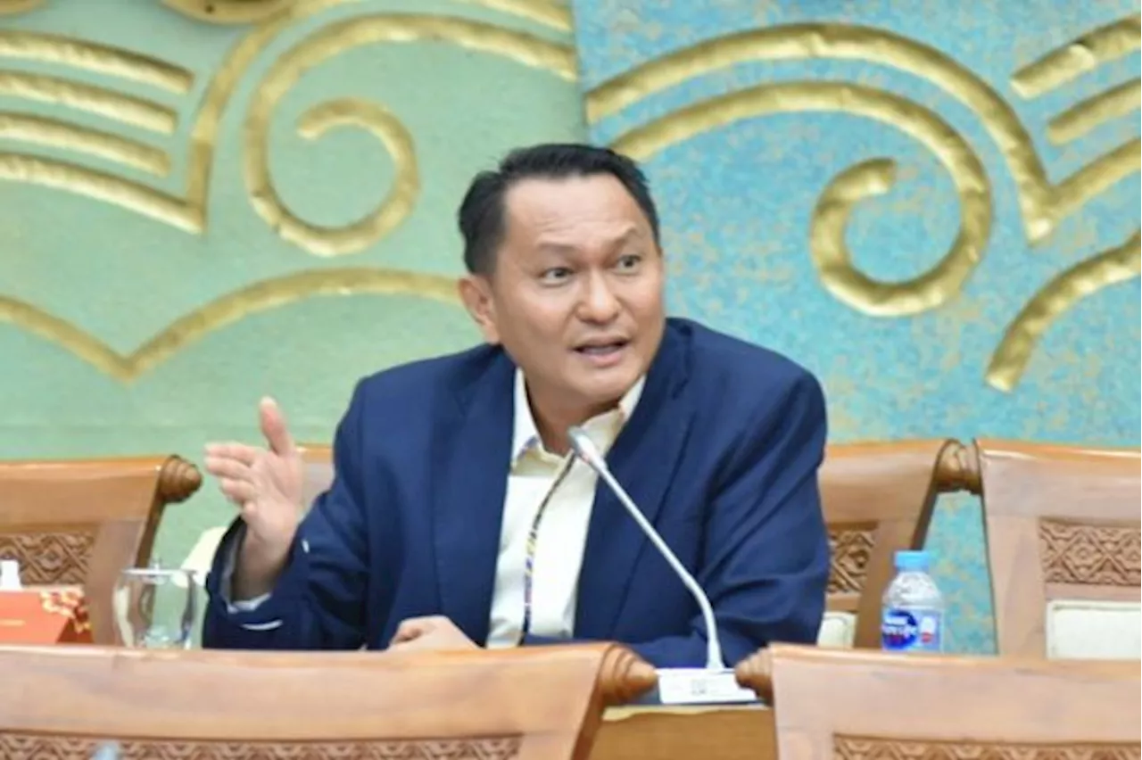 Legislator Ingatkan Jangan Palsui Hilirisasi Nikel di Indonesia