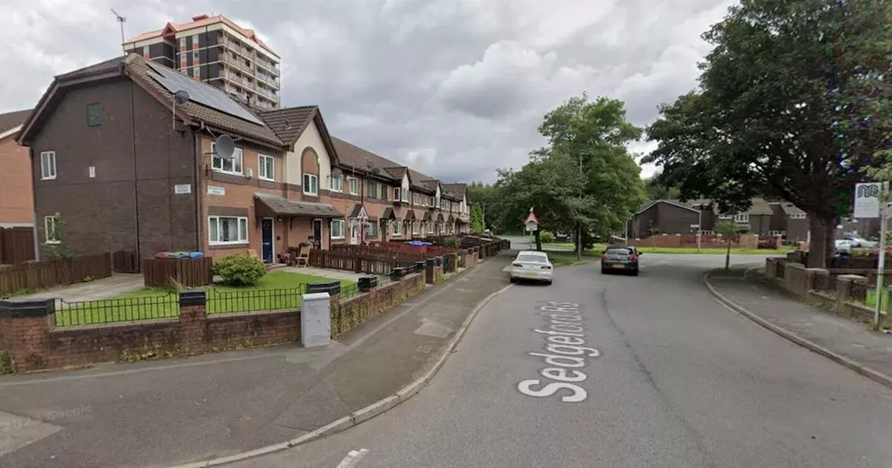 Police hunt three teenagers wielding machetes after man assaulted