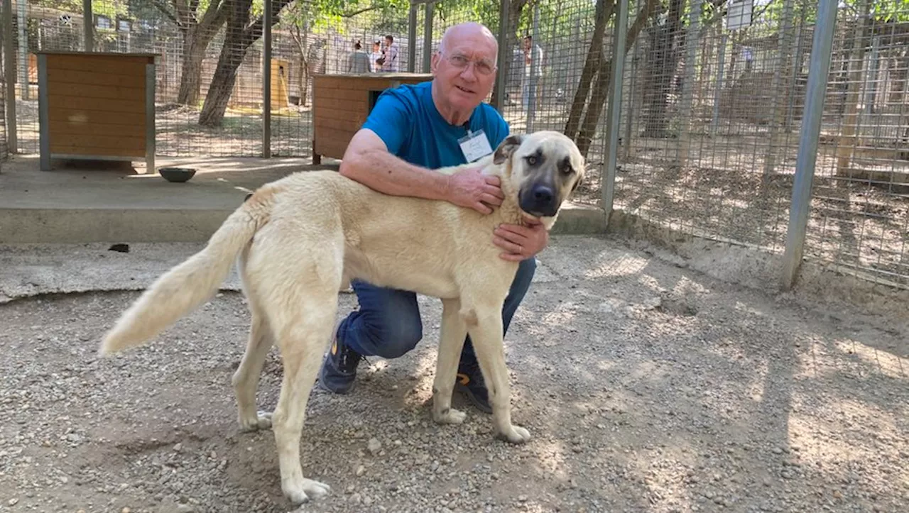 La SPA de Nîmes rassemble les amis des animaux pour sa journée portes ouvertes