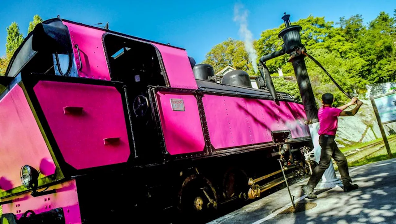 Pour Octobre Rose, le Train à vapeur des Cévennes voit la vie en rose