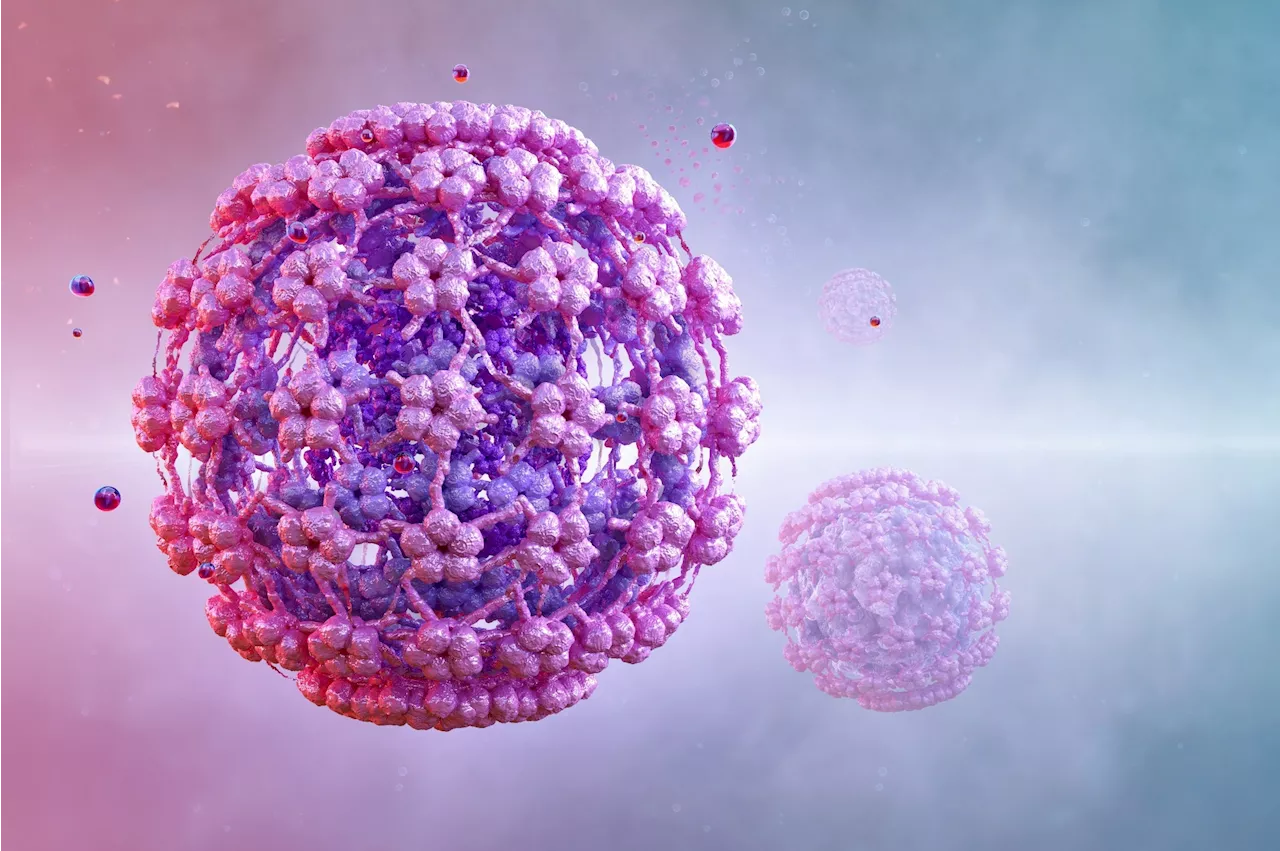 Is HPV infection a hidden risk factor for prostate cancer?