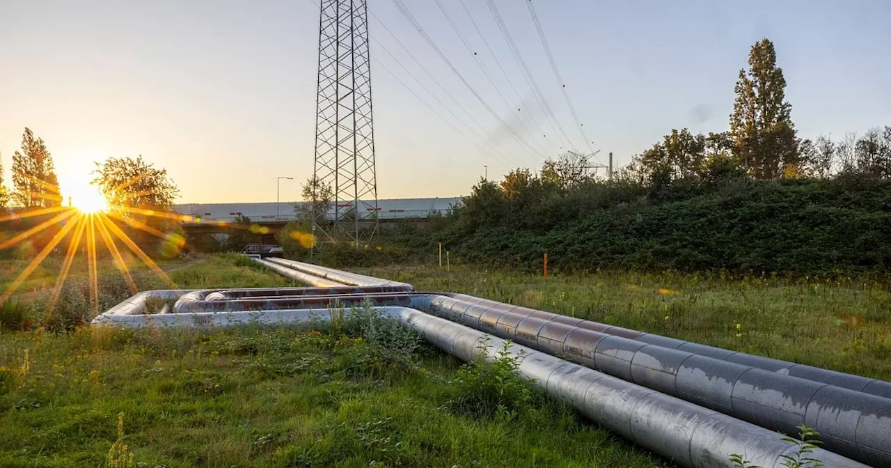 Fernwärme: Was Hauseigentümer wissen sollten