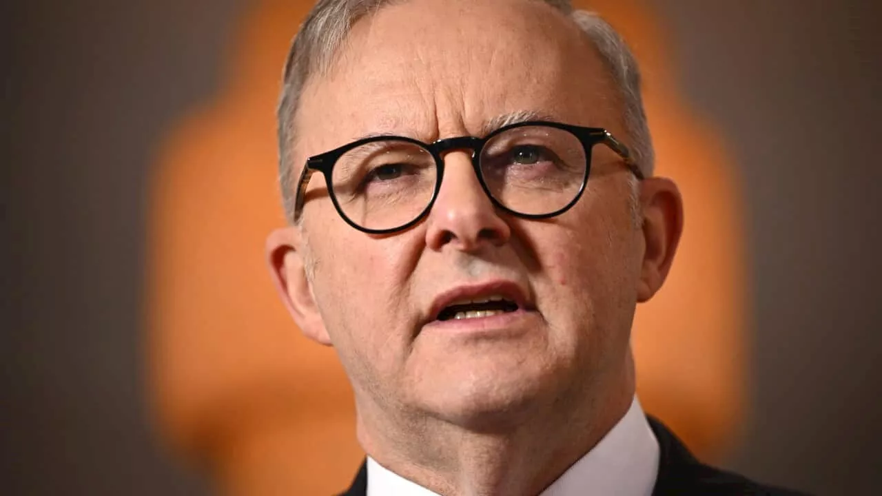 Anthony Albanese condemns 'indiscriminate and abhorrent' Hamas attacks on Israel