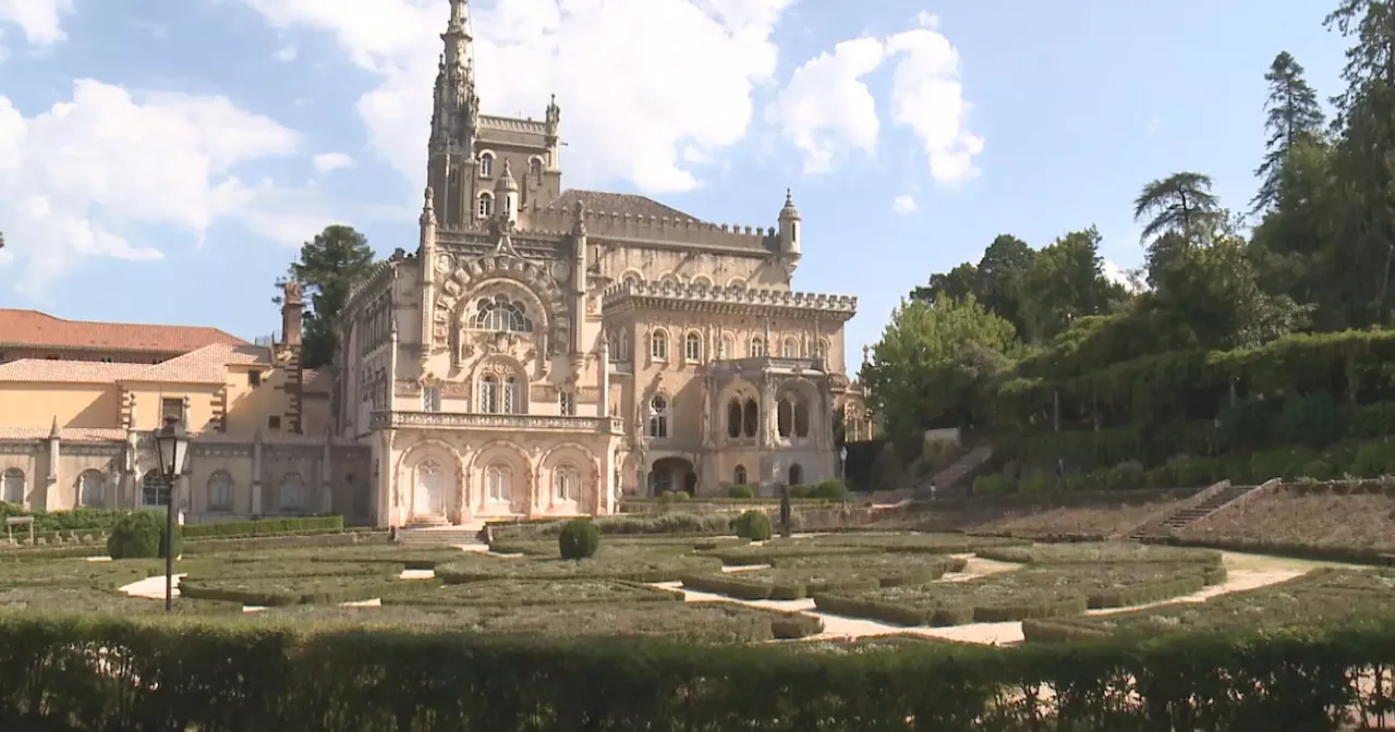 Meio milhão de pessoas visitaram a Mata Nacional do Buçaco no ano passado