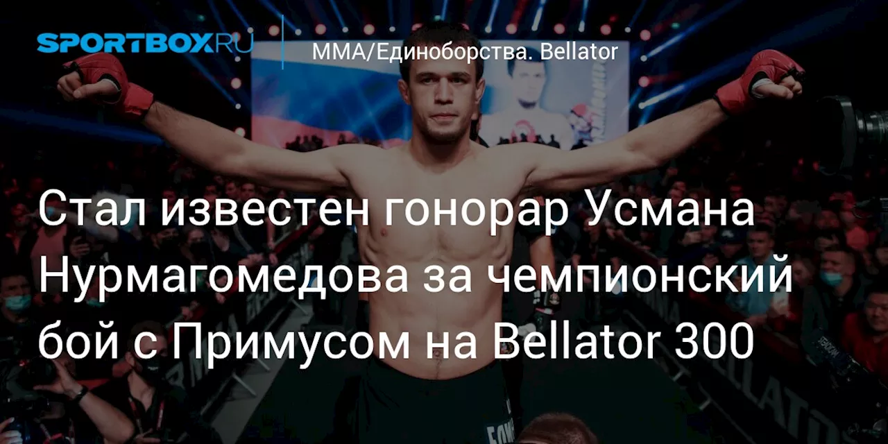 Стал известен гонорар Усмана Нурмагомедова за чемпионский бой с Примусом на Bellator 300