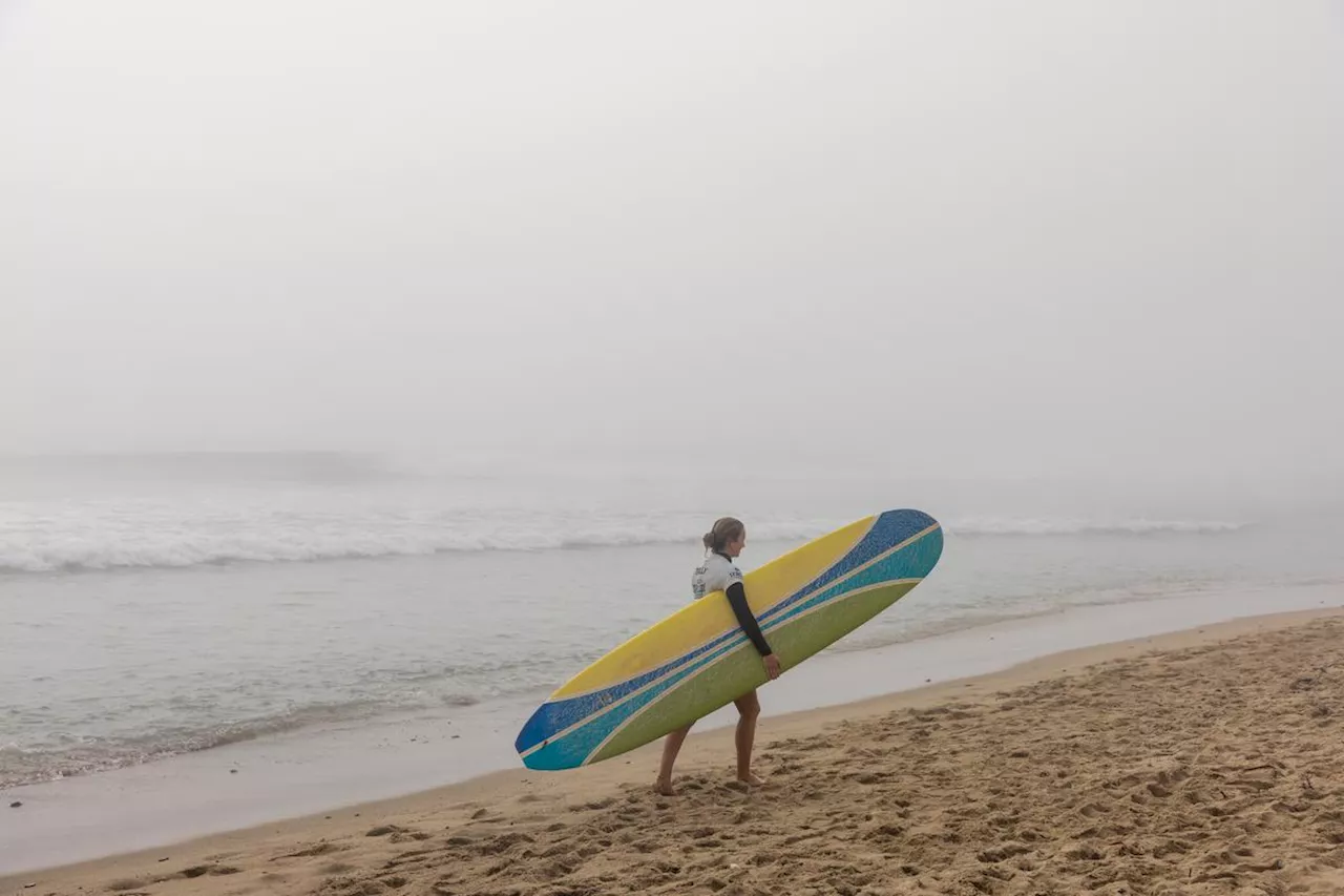 Surf. Longboard : la WSL espère sacrer les champions du monde 2023 ce dimanche à Malibu