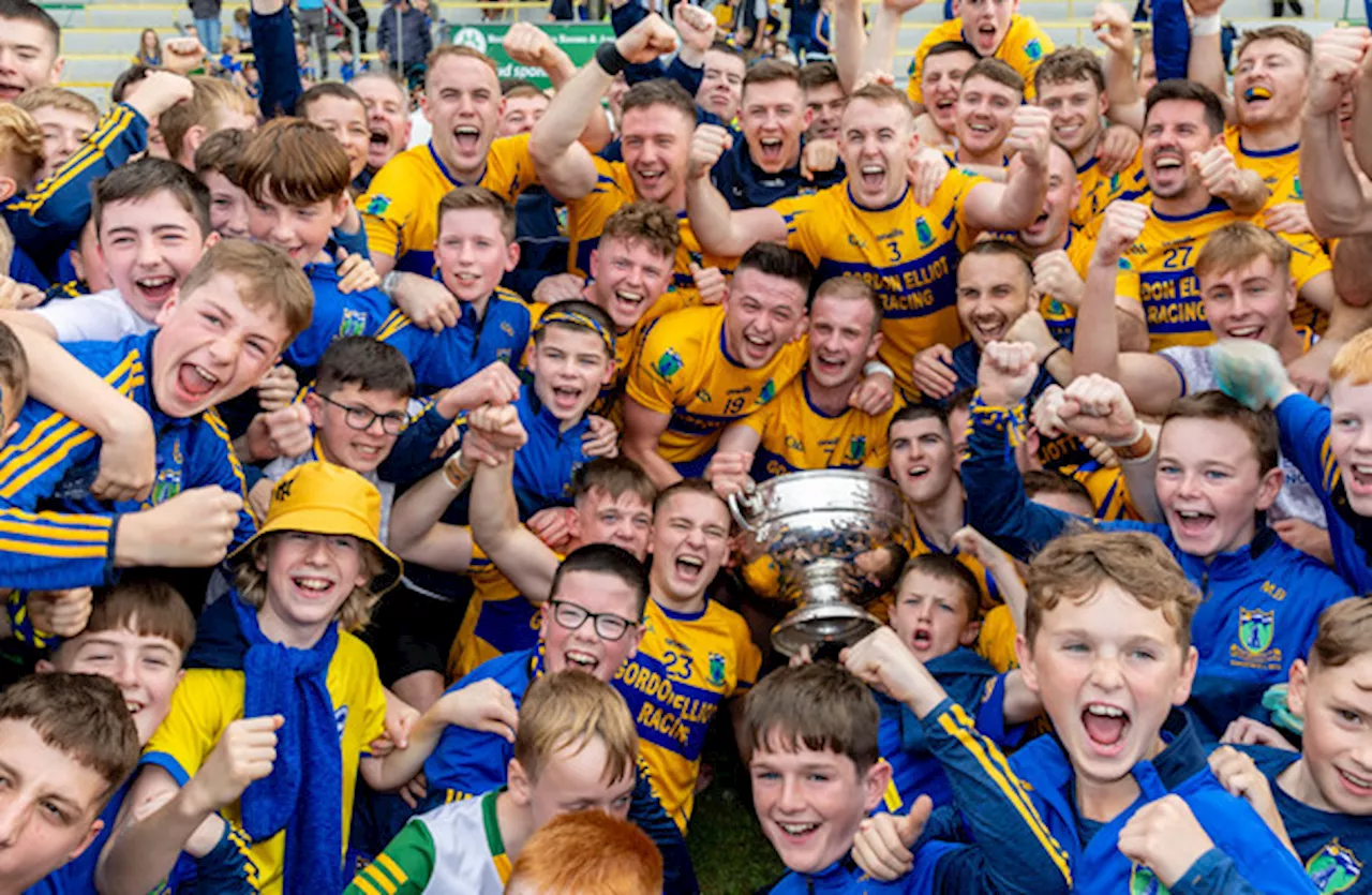 Summerhill pushed all the way as they end 10-year wait for Meath SFC title