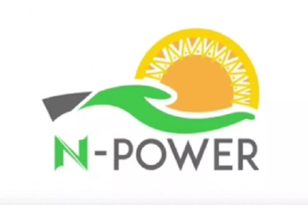 Why N-Power programme was suspended, minister gives fresh updates | The Nation Newspaper