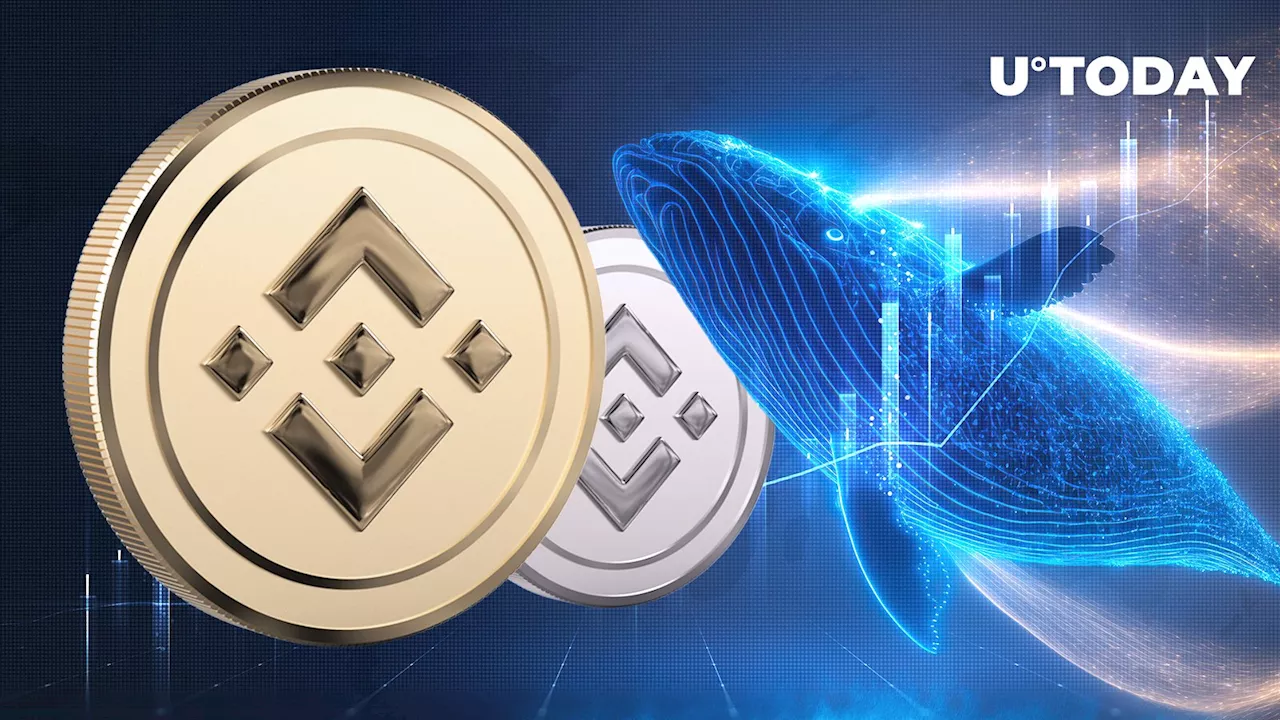 Large Binance Coin (BNB) Whale Activates, Moves Millions: Here's BNB Price Reaction