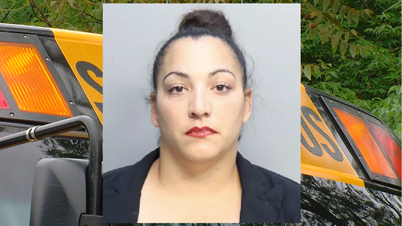 School bus driver arrested after unknowingly driving sleeping girl around town for hours