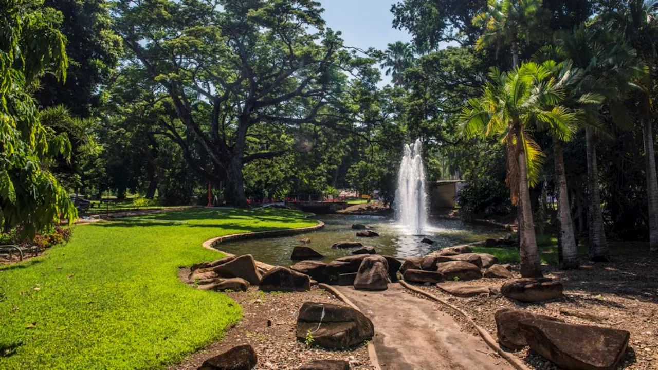 Woman killed by falling tree branch in Darwin botanic gardens was a South African national