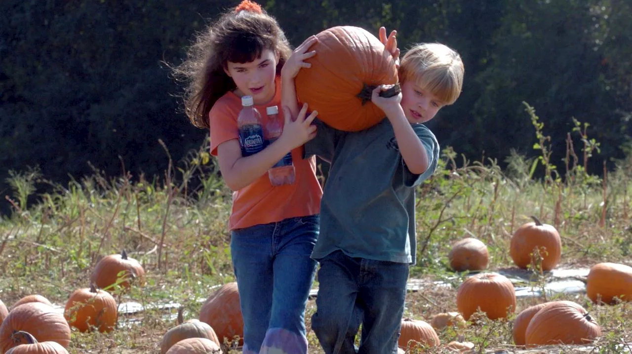 5 pumpkin patches within driving distance of Birmingham