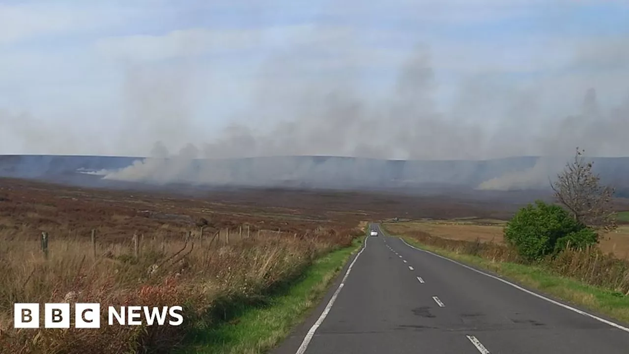 Sheffield: plumes of smoke prompt air quality and wildlife concerns